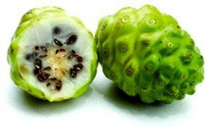 noni-fruta
